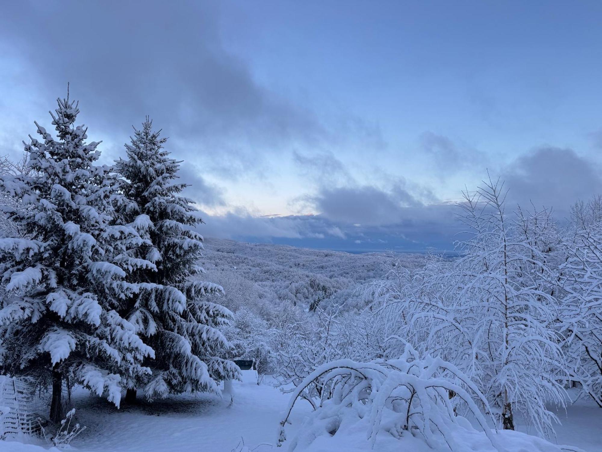 Guest House Lagotto'S Peak Radatovici Екстер'єр фото